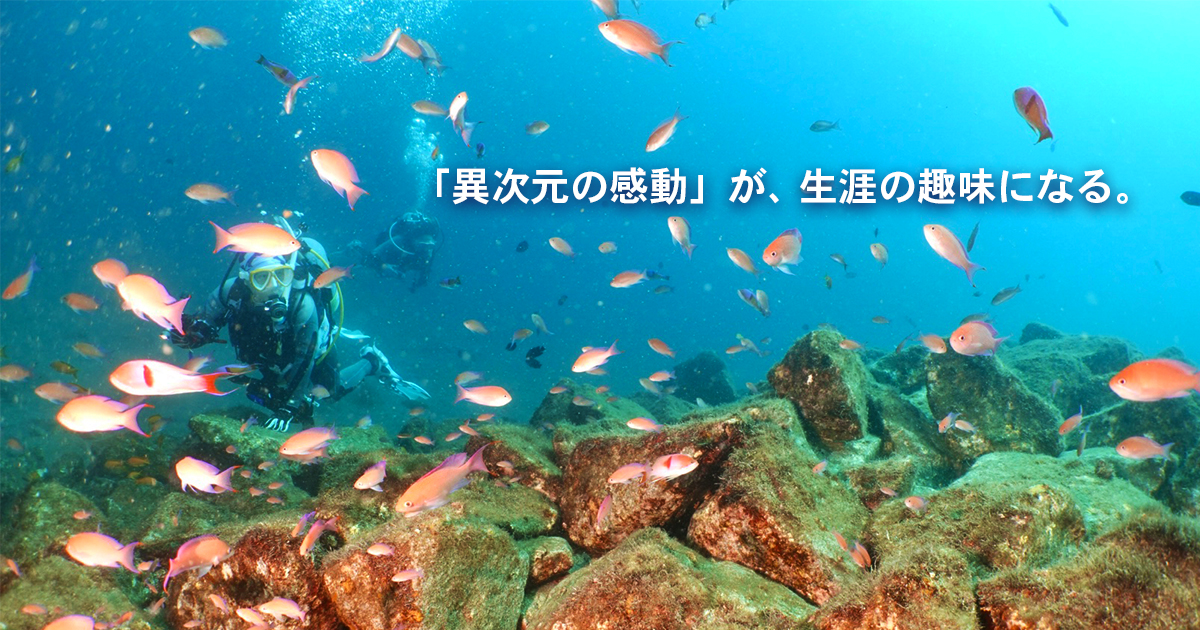ソットマリノ